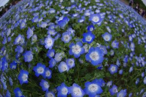 広瀬すずの新アイテムをチェック！！8月30日！！