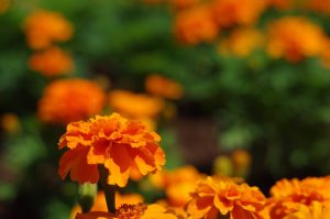 橋本環奈の新アイテムをチェック！！2月28日！！